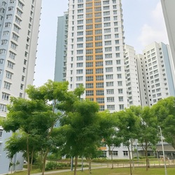 Blk 2D Kallang Heights (Kallang/Whampoa), HDB 4 Rooms #503371721